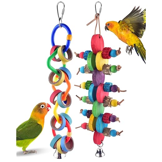 Bissap 2 PCS Bird Chew Toys, Multicolored Bagel Cascade Bird Parrot Toy Biting Paper Cardboard Olympic Rings Conures Toys for Amazon Cockatiels Cockatoos Macaws and Similar Sized Pet Birds