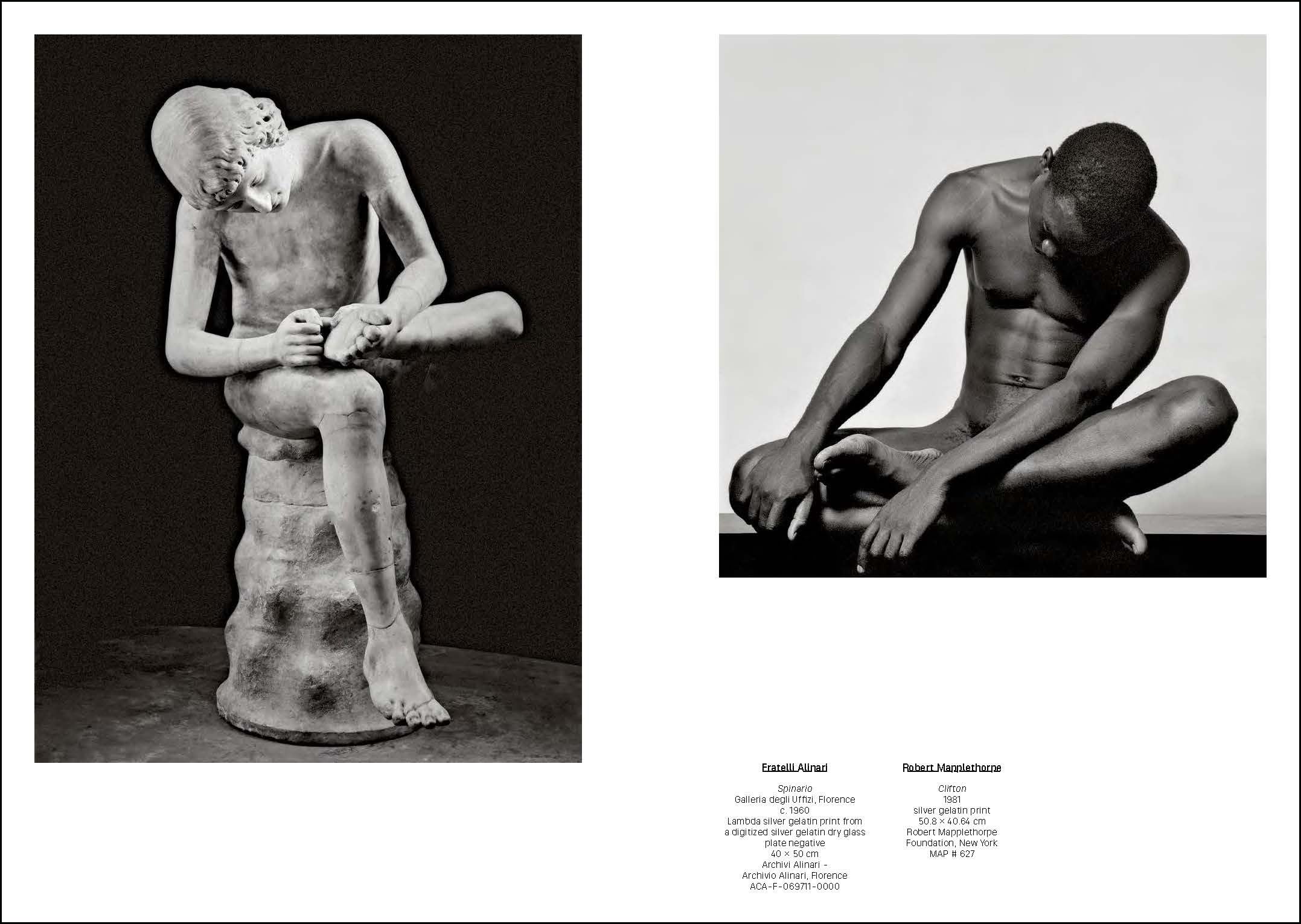 Mapplethorpe/Von Gloeden: Beauty and Desire