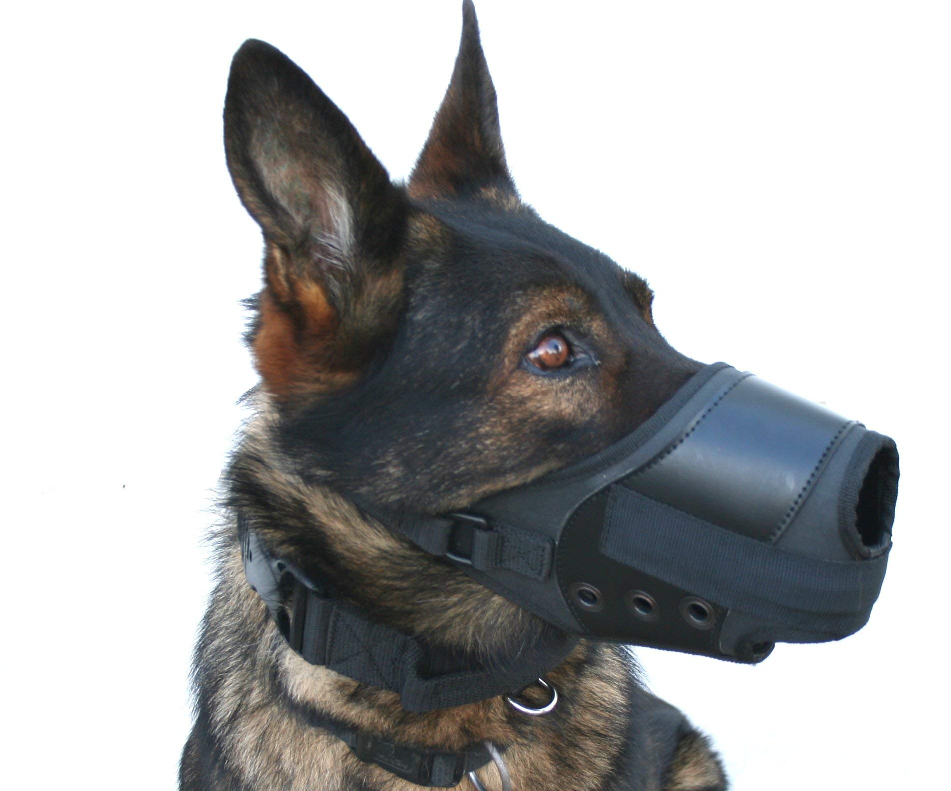 COP® K9 Stoßbeisskorb für Diensthunde (S)