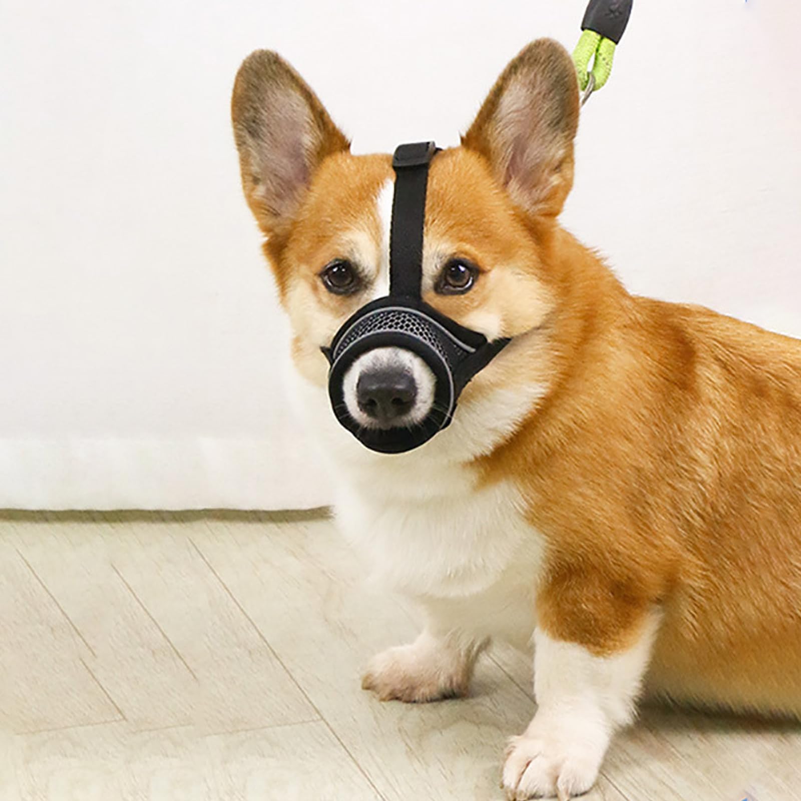 JSTHHTT Muselière pour Chien 2 Pièces, Muselière pour Petits Chiens de Taille Moyenne, Muselière pour Chien en Maille Douce et Respirante, Anti-Mastication, Aboiement, (L)