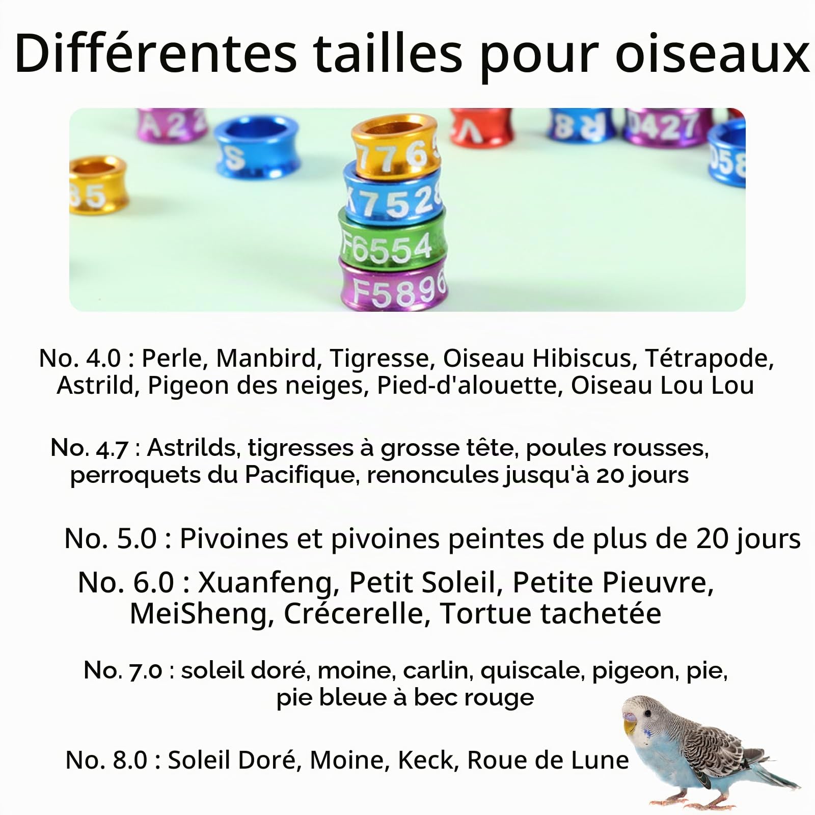 Bagues en aluminium pour pattes d'oiseaux, Bagues ouvertes en aluminium for pattes d'oiseaux, multicolores et numérotées, 4-8 mm, paquets de 10/50/100 pièces(Open-100pcs,4.5mm)