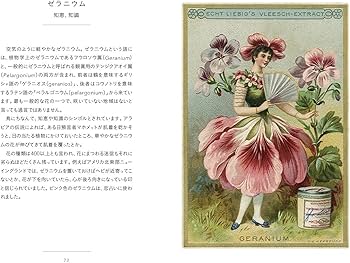 JūliusA486 ちいさな手のひら事典 花言葉 ジャンクジャーナル 花言葉 (ちいさな手のひら事典) | ナタリー・シャイン, ダコスタ 吉村