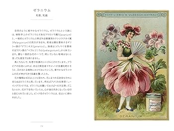 花言葉 (ちいさな手のひら事典) | ナタリー・シャイン, ダコスタ