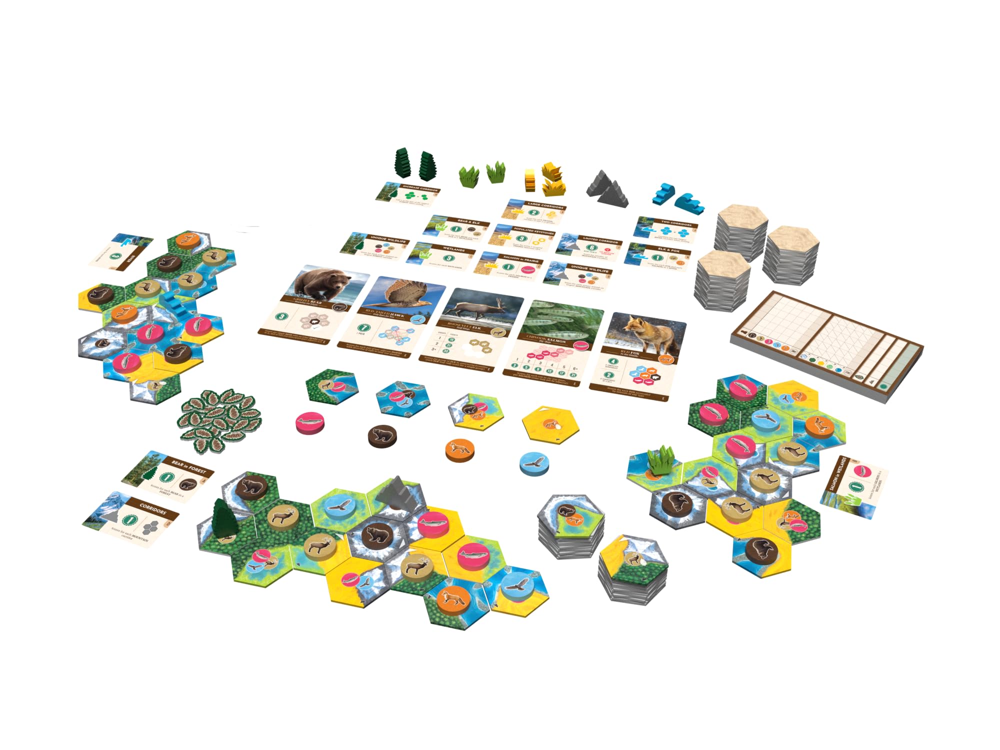 CASCADIA LANDMARKS espansione Gioco da Tavolo in Italiano Little Rocket Games
