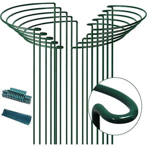 TCBWFY 10 Pack Plant Supports Stakes for Large Heavy Plants,Heavy Duty Thicken 5mm Metal 12" Widex24 High Peony Cages and Support,Garden Support Ring Border Support for Peony,Tomato,Hydrangea,Rose