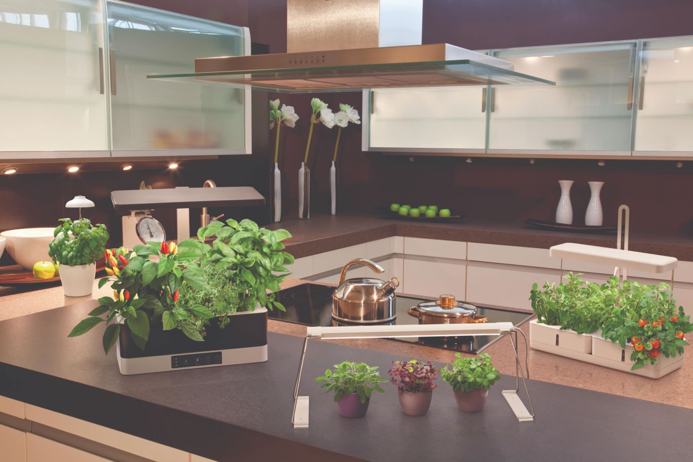 LEDVANCE Luz LED para plantas blanca con 1350Lumen, luz de crecimiento con 8 compartimentos para el jardín interior, luz para hierbas con función de temporizador e indicador de nivel de agua