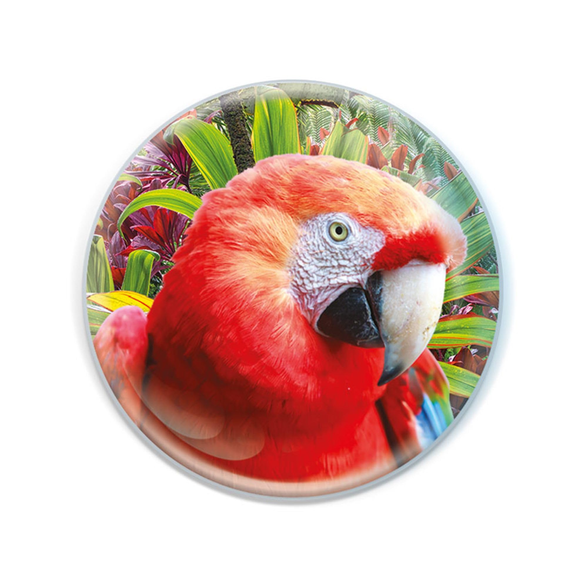 Deluxebase Magnidome Parrot Fridge Magnet – Crystal Glass Dome Animal Magnets for Fridges, Decorative Strong Magnet for Kitchen Accessories, Novelty Gifts and Cute Home Decor.