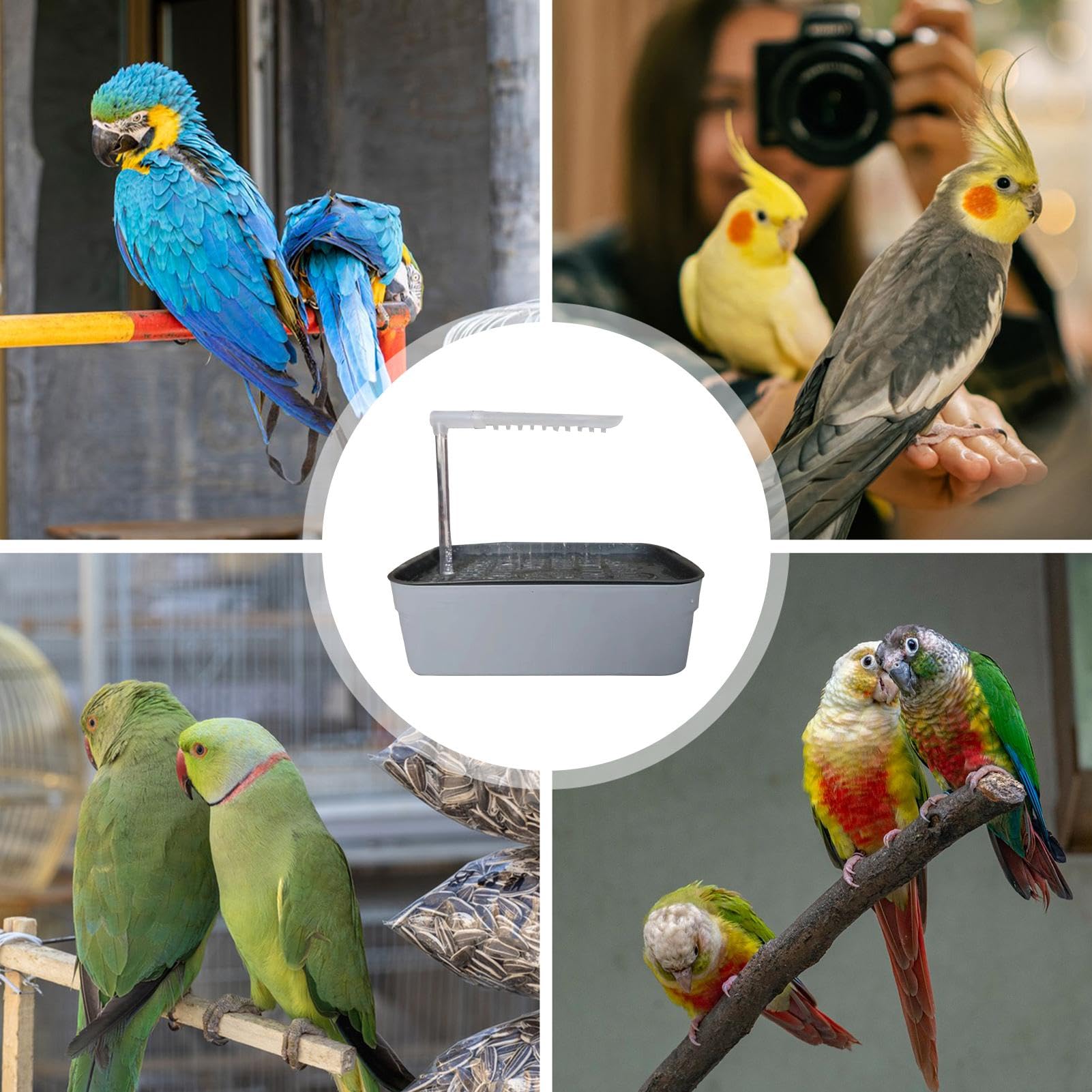 Ptakowa wanna, prysznic ptaków Elektryczny prysznic z wanną dla ptaków | Lovebirds Bath Fountain Pet Cage Akcesoria, wanna z kąpielami koktajlowa zasilana USB