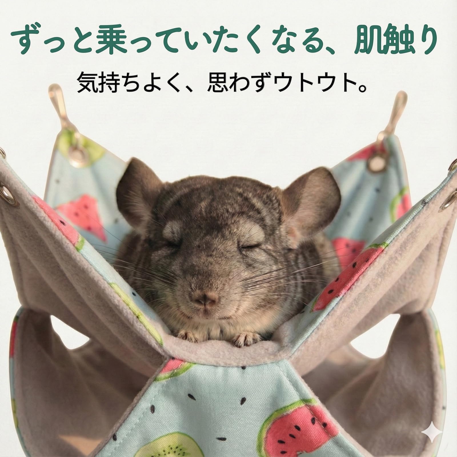 Amazon.co.jp: TiDaOne チンチラ ハンモック ハウス ケージ ステップ