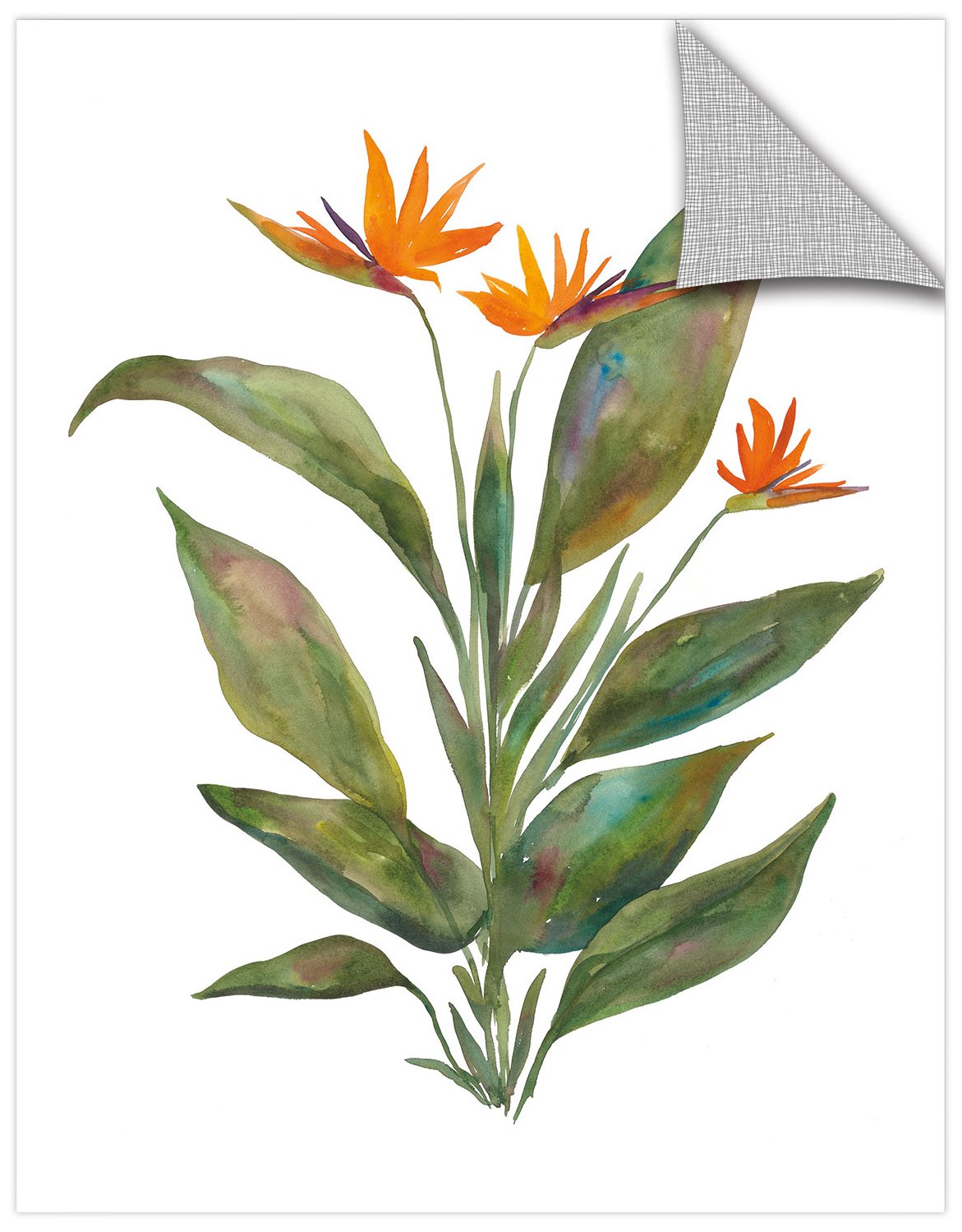 Tableau mural amovible sans perçage Wild Apple pour décorer sans abîmer les murs