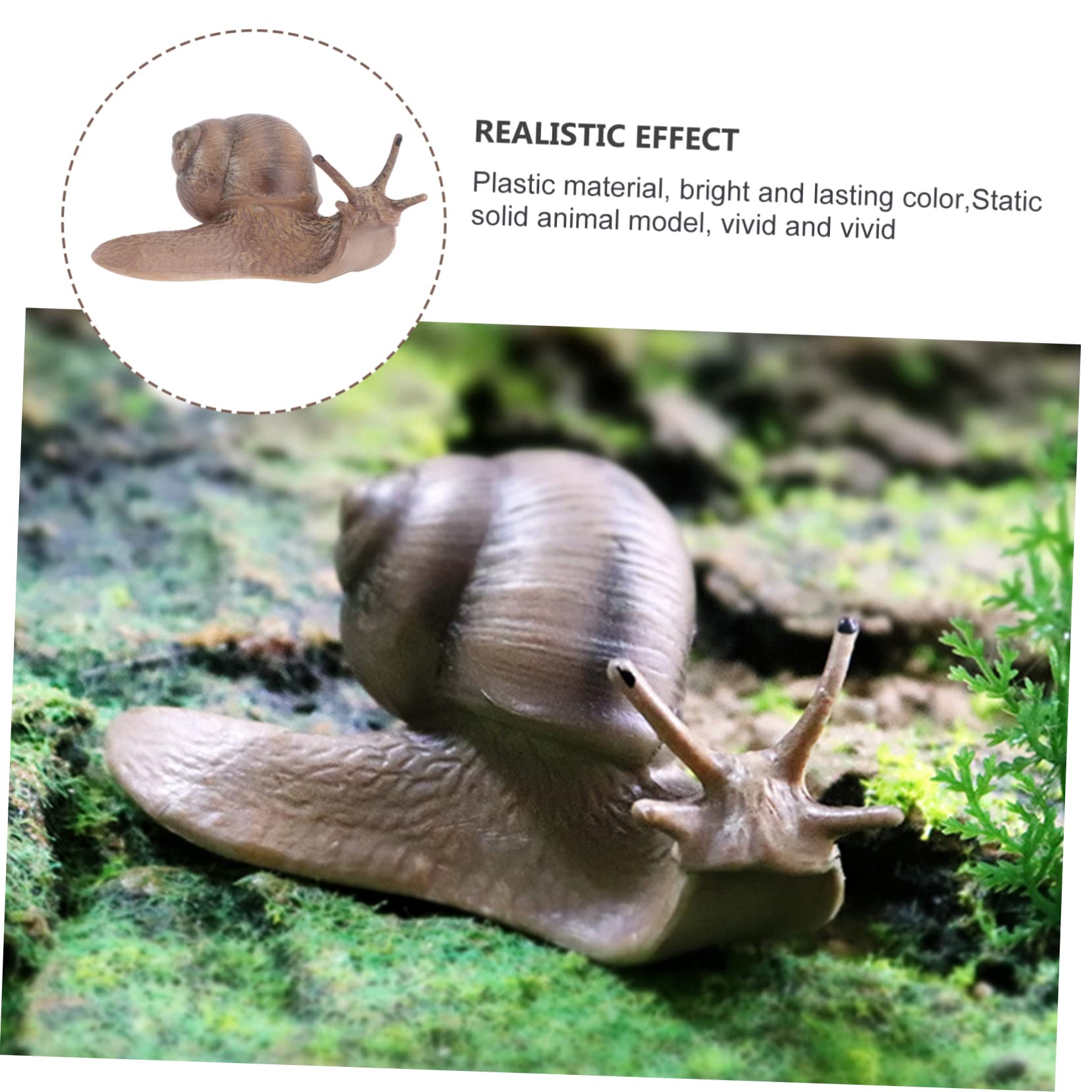 Amazon.co.jp: NUOLUX 1個 カタツムリ マイクロ ランドスケープ