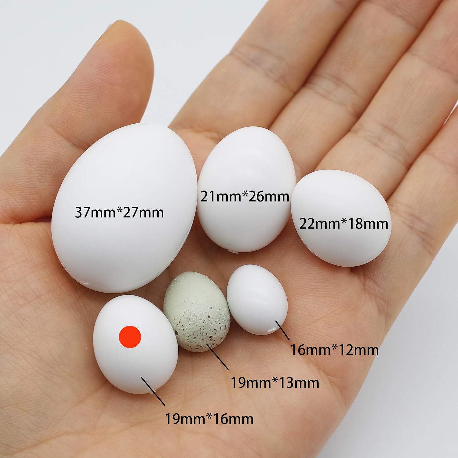 FOIBURELY 8 Pcs Solid Parrot Plastic Eggs Hatching Eggs Parrotlet，Budgie Parakeet，Diamond Dove Trick The Birds to Stop Laying Eggs, Fake Eggs（19mm*16mm）