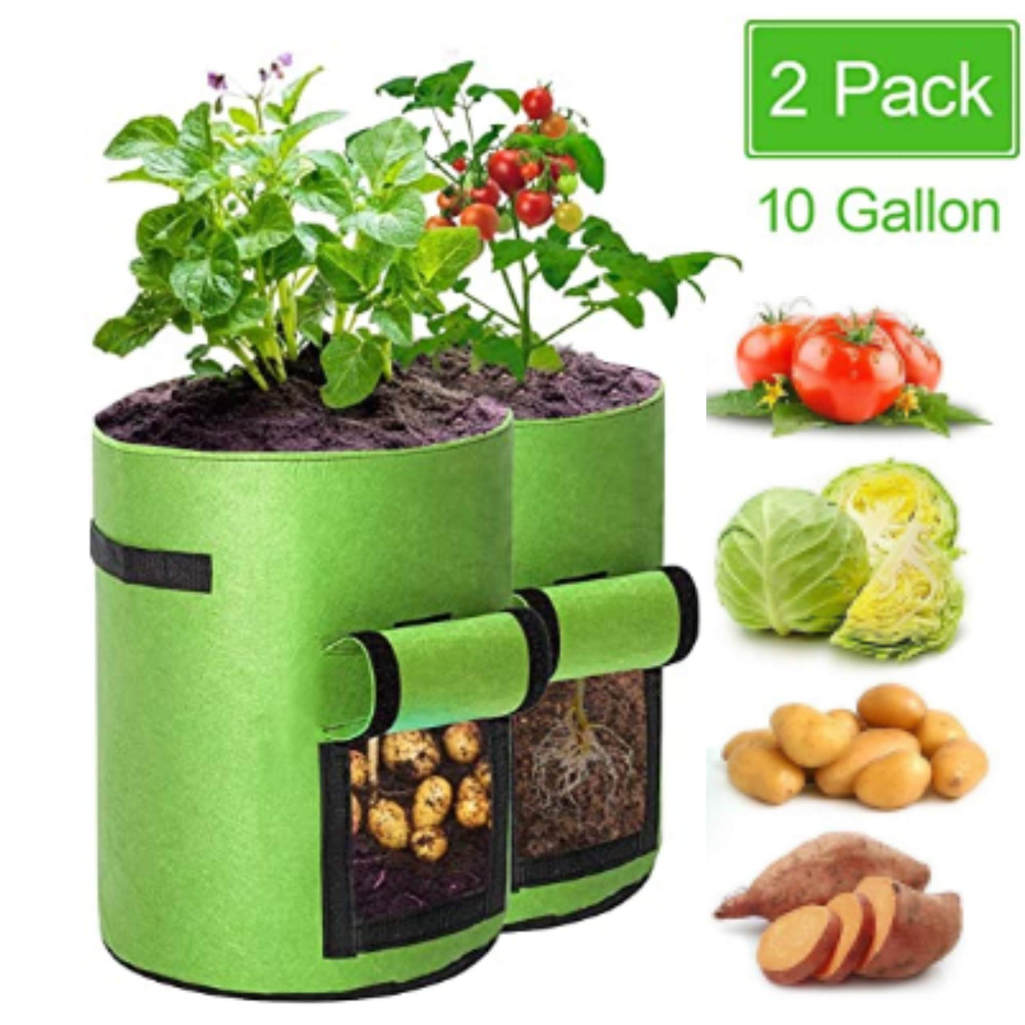 Paradise Potato Grow Bags 2 Pack 10 Gallon Planting Pouch Fabric Pots Premium Breathable Cloth Bags for Potato/Plant Container with Handles and Velcro Window（Green）