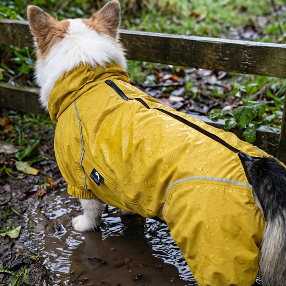 Manteau De Pluie Respirant pour Chien Corgi, Manteau avec Jambes, à Capuche, Passepoil Réfléchissant, Compactable - Aube dorée - S