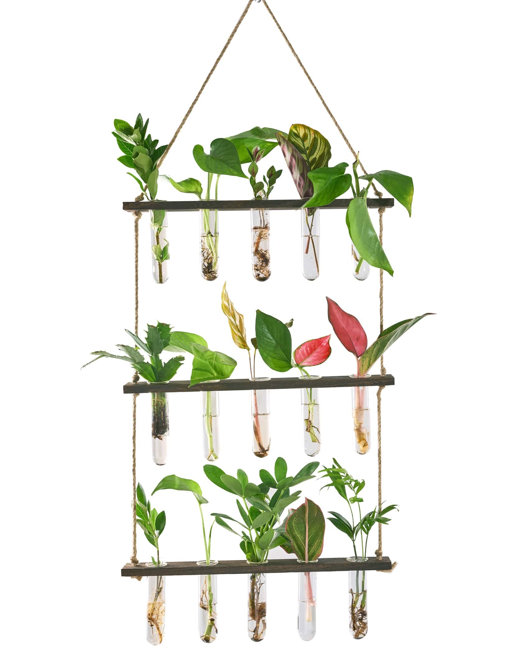 Photo 1 of 3 Tiered Hanging Plant Propagation Stations Plant Terrarium,Test Tube Flower Vases Retro Glass Planter Propagator for Hydroponic Plants Cutting Home Garden Decor 16 Propagation Tubes Brown