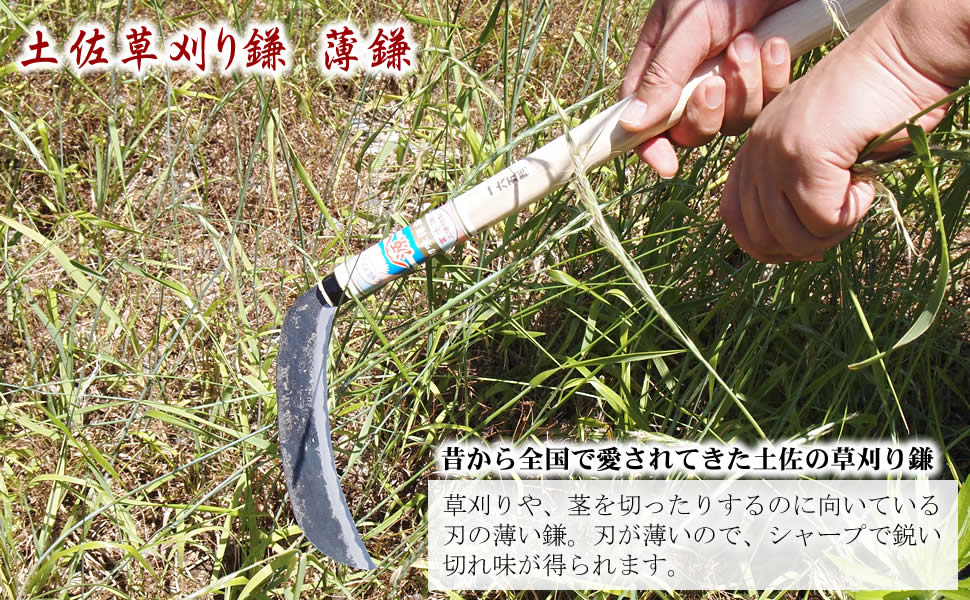土佐草刈り用大鎌 草刈り鎌 薄鎌 通販 / 土佐刃物 販売 土佐打刃物屋