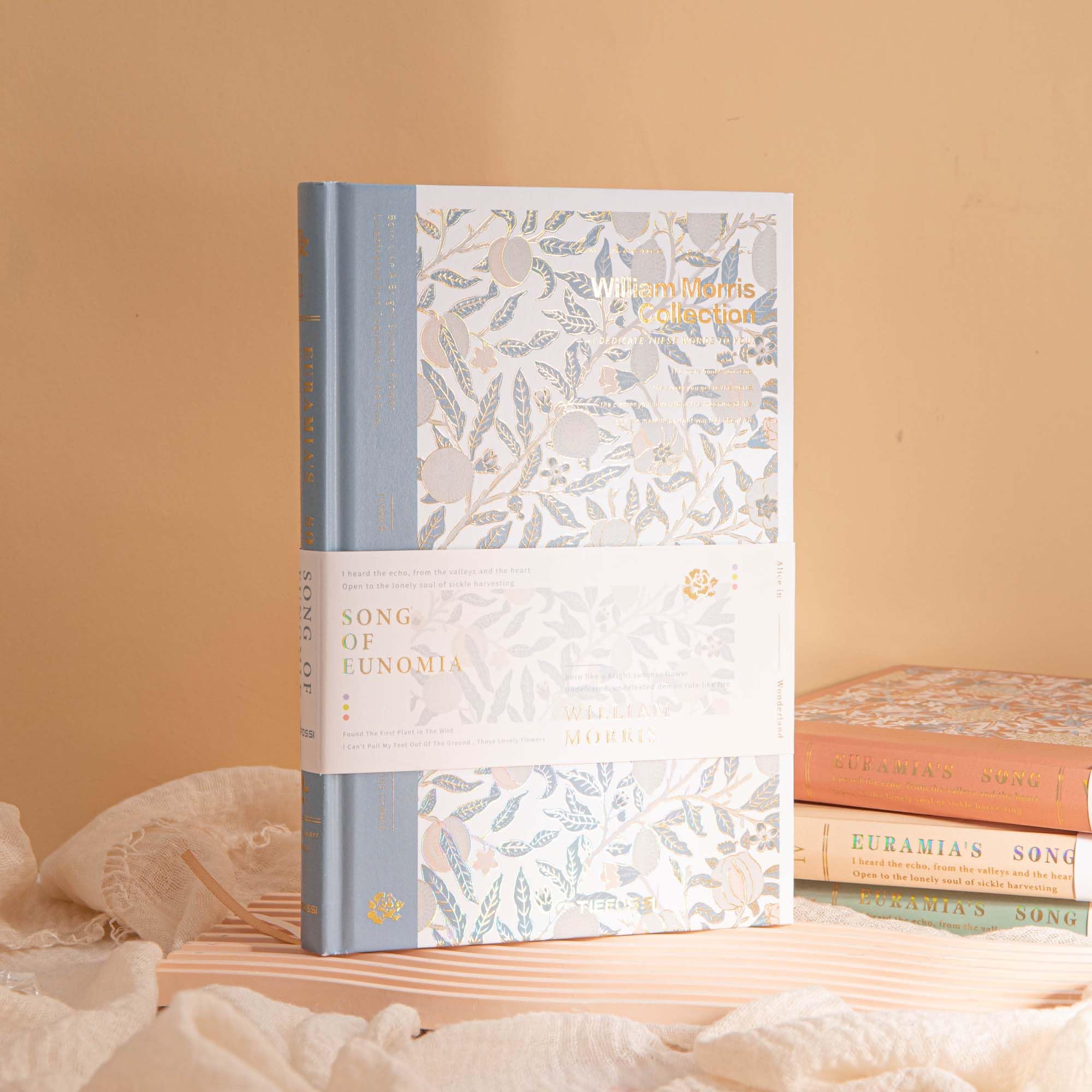 TIEFOSSI Quaderno a Righe Copertina Rigida Donna A5 Premium 100g/m² 224 Pagine per Scrivere Lavoro Appunti