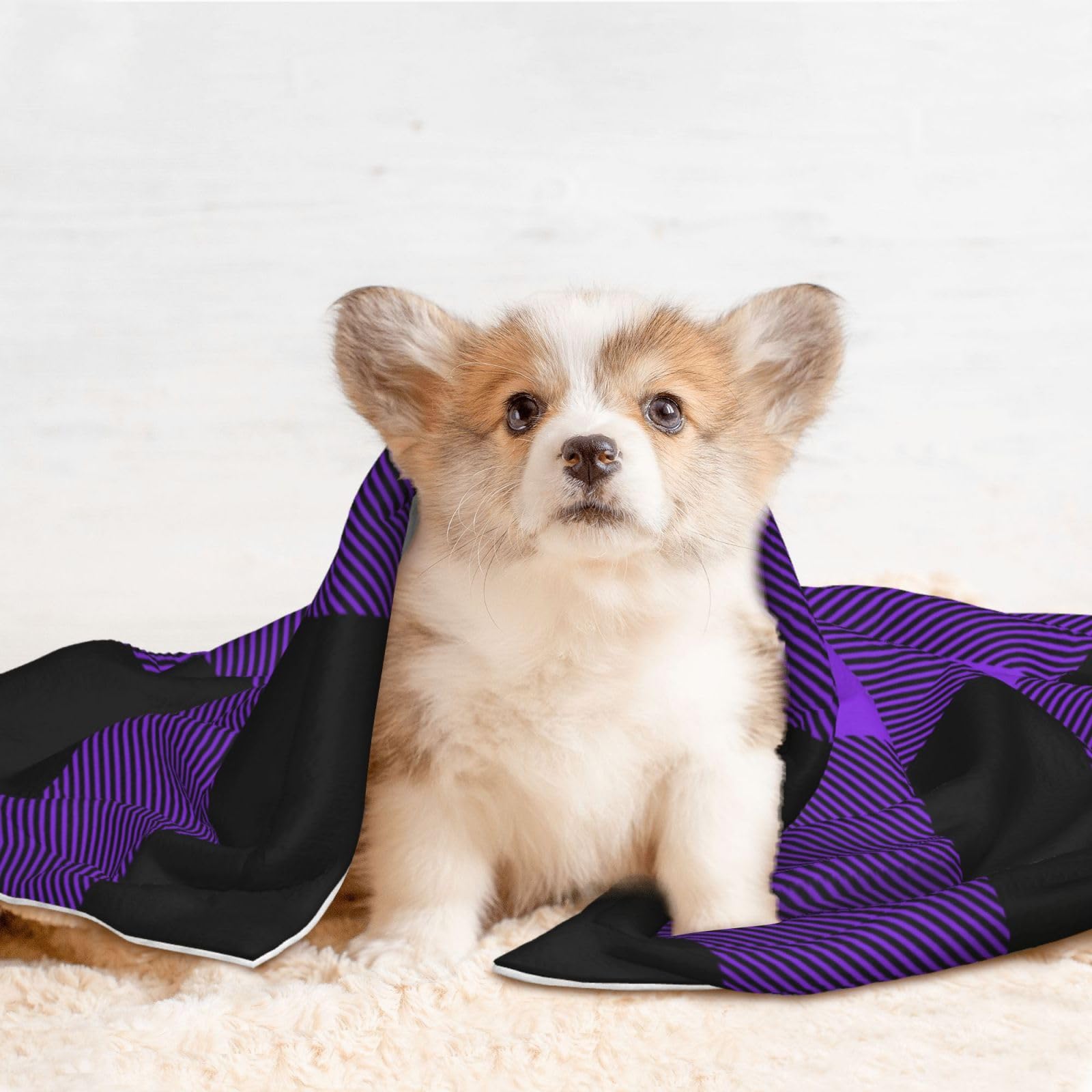Amazon.co.jp: Pevtufa 防水ペットブランケット 犬用ブランケット