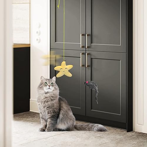 Miniatura 7 de POPETPOP Juguete para gatos con puerta colgante, 6 piezas interactivas para gatos, juguete interactivo para colgar en la puerta, juguete de gato con