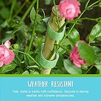 Vista 3 de VELCRO Brand VEL-30087-AMS Paquete Inicial de Lazos ONE-WRAP para Jardines en Contenedores o Plantas de Interior, 12 piezas, Pre-Cortados, 6 in x