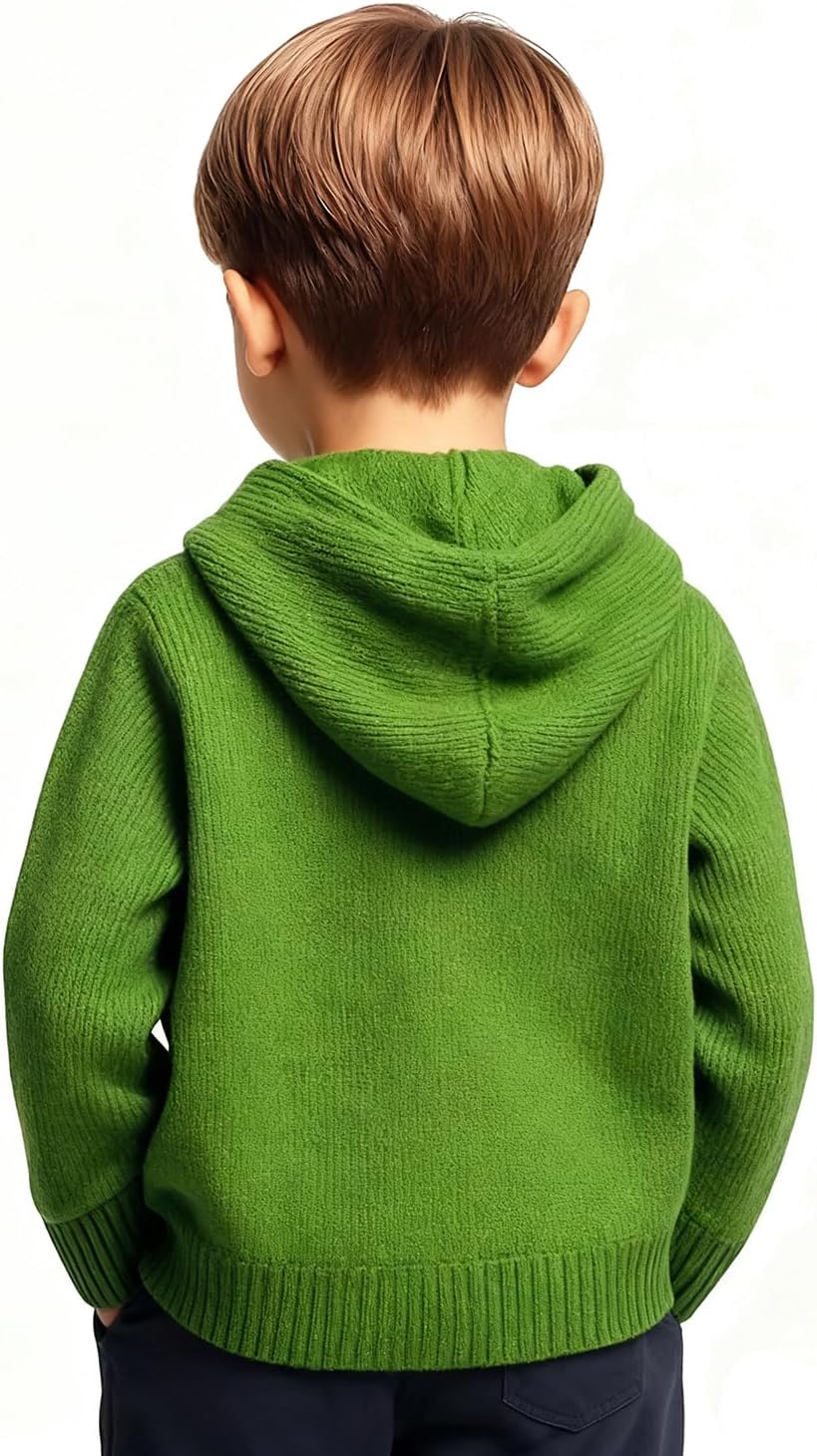 Boys' Long Sleeved Hooded Knit Cardigan Button-Front Sweater (US, Age, 1 Year, 2 Years, Green)