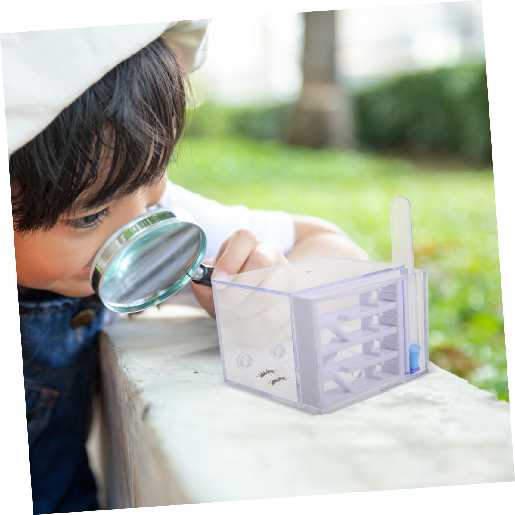 BESTonZON Fourmilière en Acrylique Observation Facile, Trousse Éducative pour Enfants, Jouet Scientifique