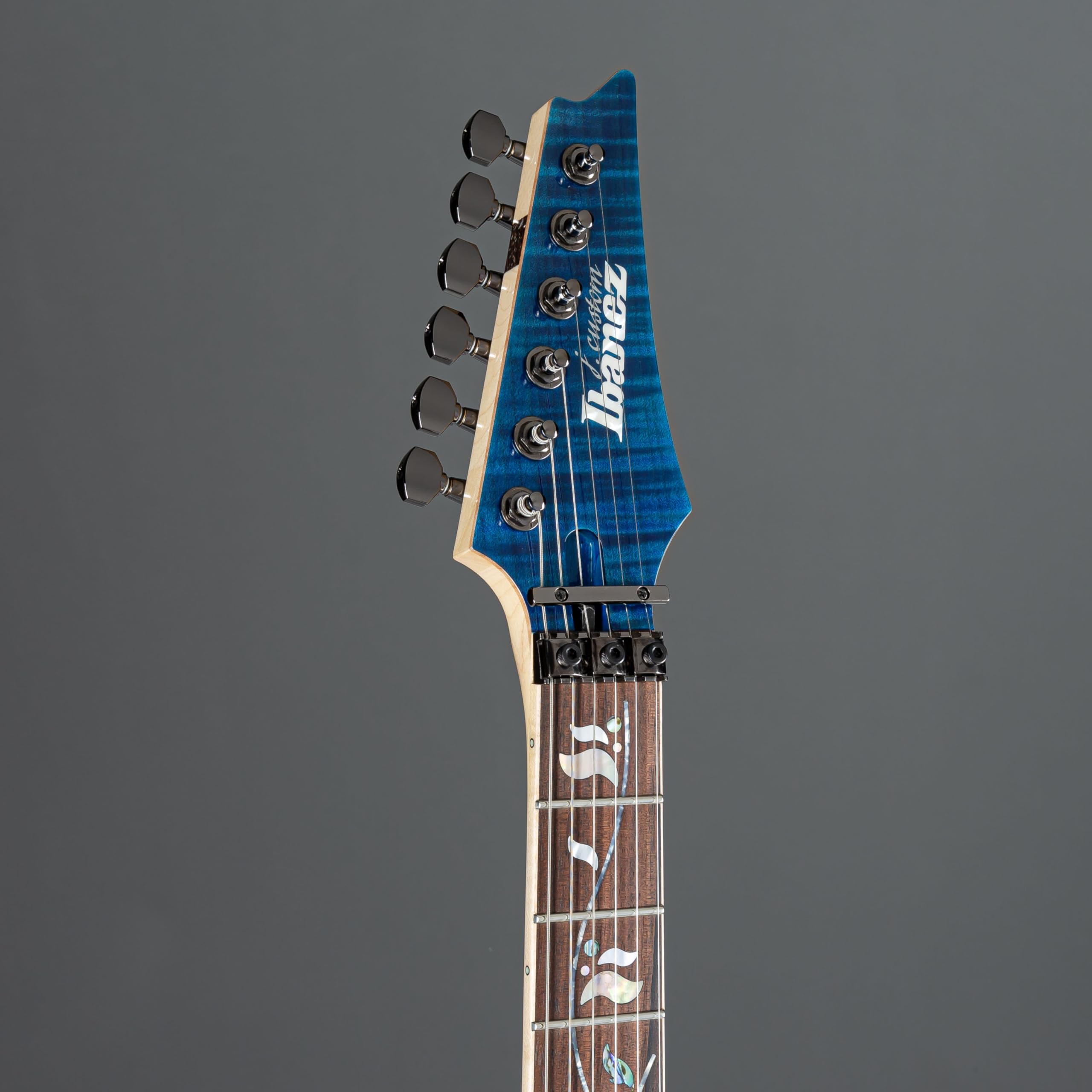 Amazon.com: Ibanez J Custom RG8570 Electric Guitar - Royal Blue