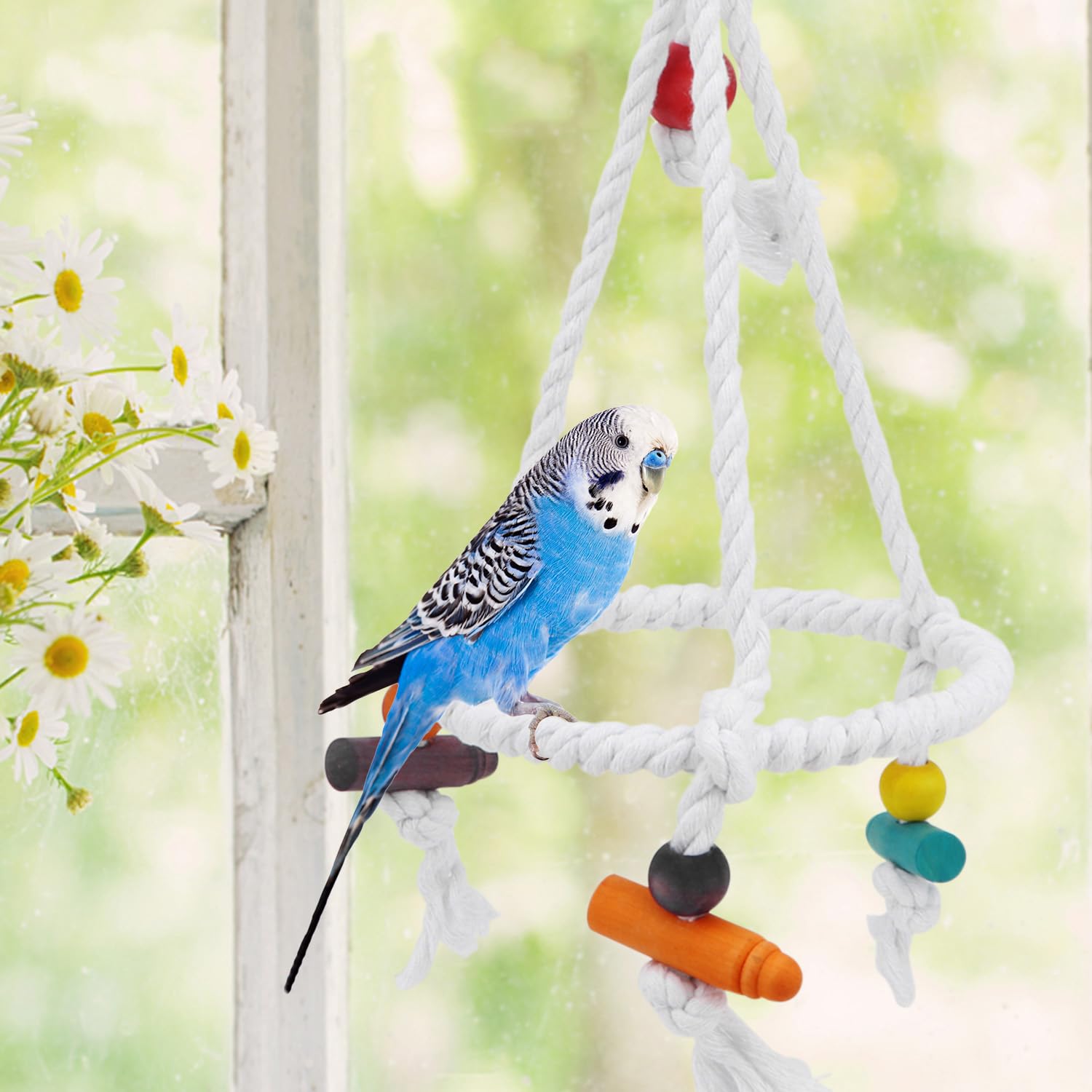 Parrot Swing OMYZERO Bird Parrot Toys Swing Hanging,Bird Cage