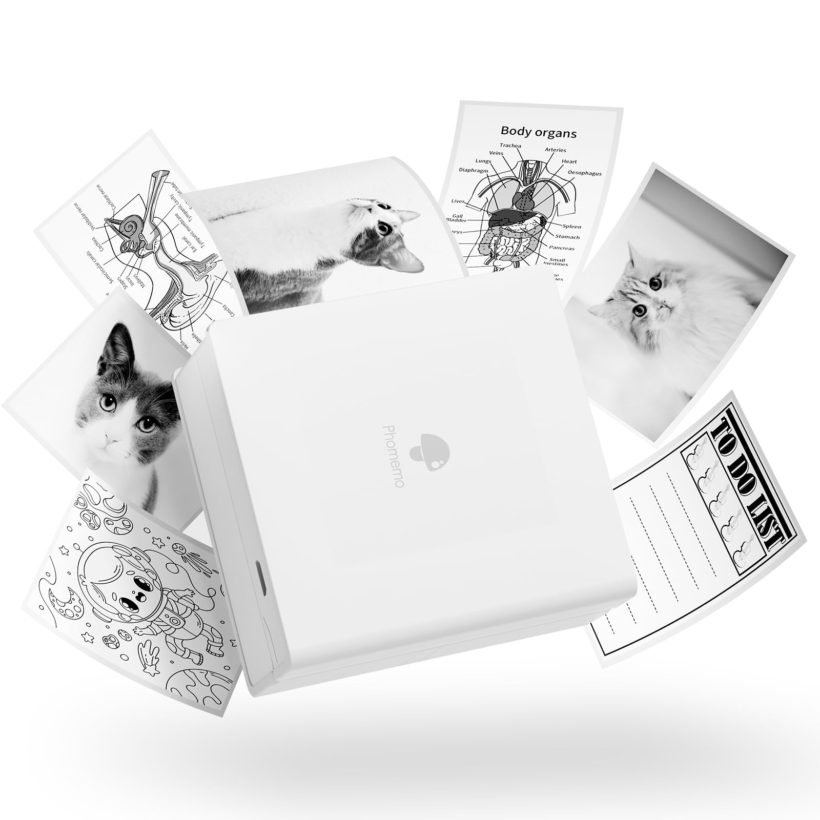 Phomemo Sticker Printer - M02 Mini Pocket Printer, 203dpi Thermal Instant Photo Printer, Small Bluetooth Wireless Picture Maker, Portable Phone Maker for Children, Gift, White