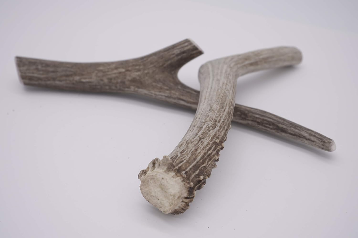 Large Whole Deer Antler 2 Pack - Deer Antler Dog Chew - Grade A Premium - Organic - Made in USA - No Mess