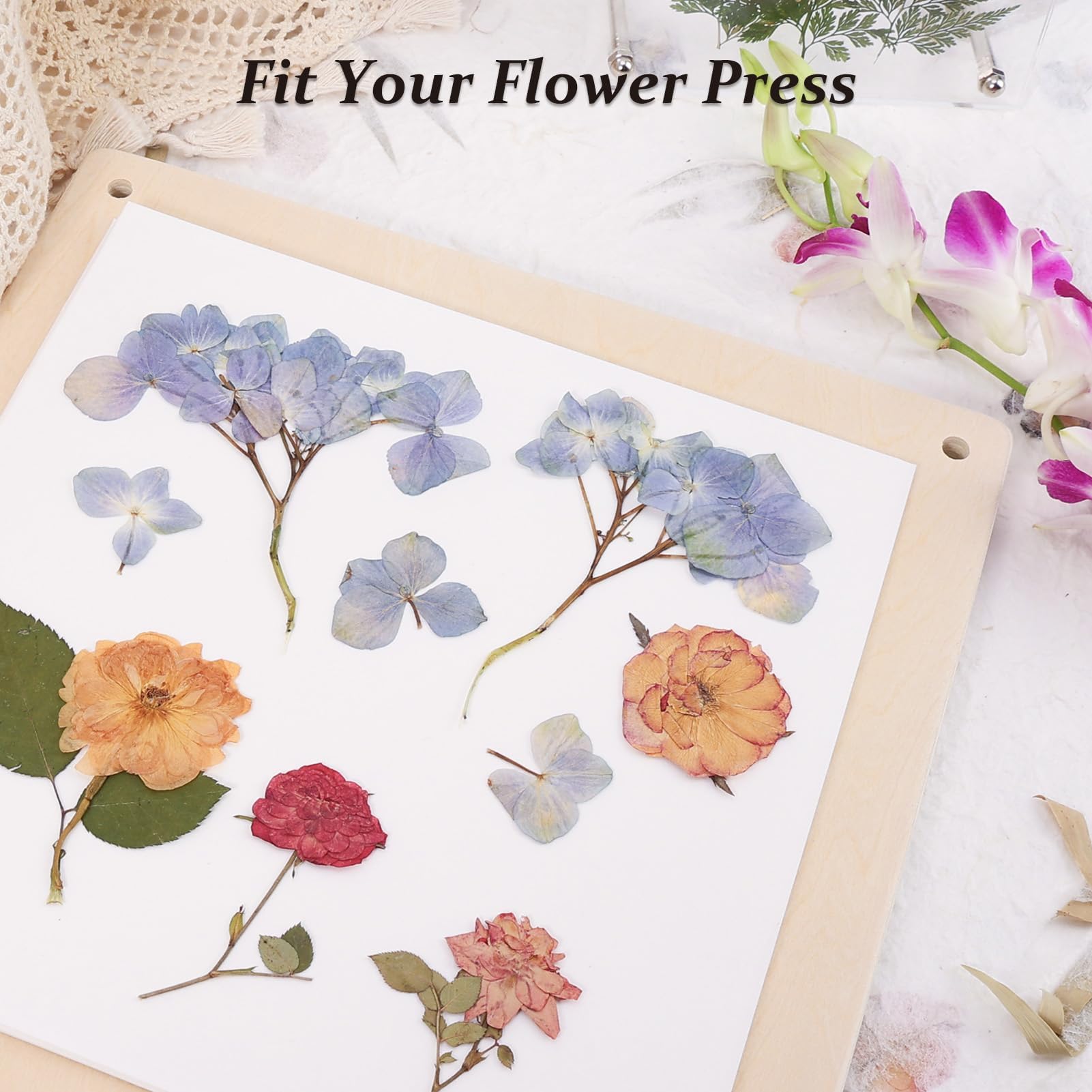 Aboofx 26 fogli di carta assorbente per pressa floreale, 22,9 x 22,9 cm, altamente assorbente e riutilizzabile, per pressare fiori, fogli di carta per stampa di fiori