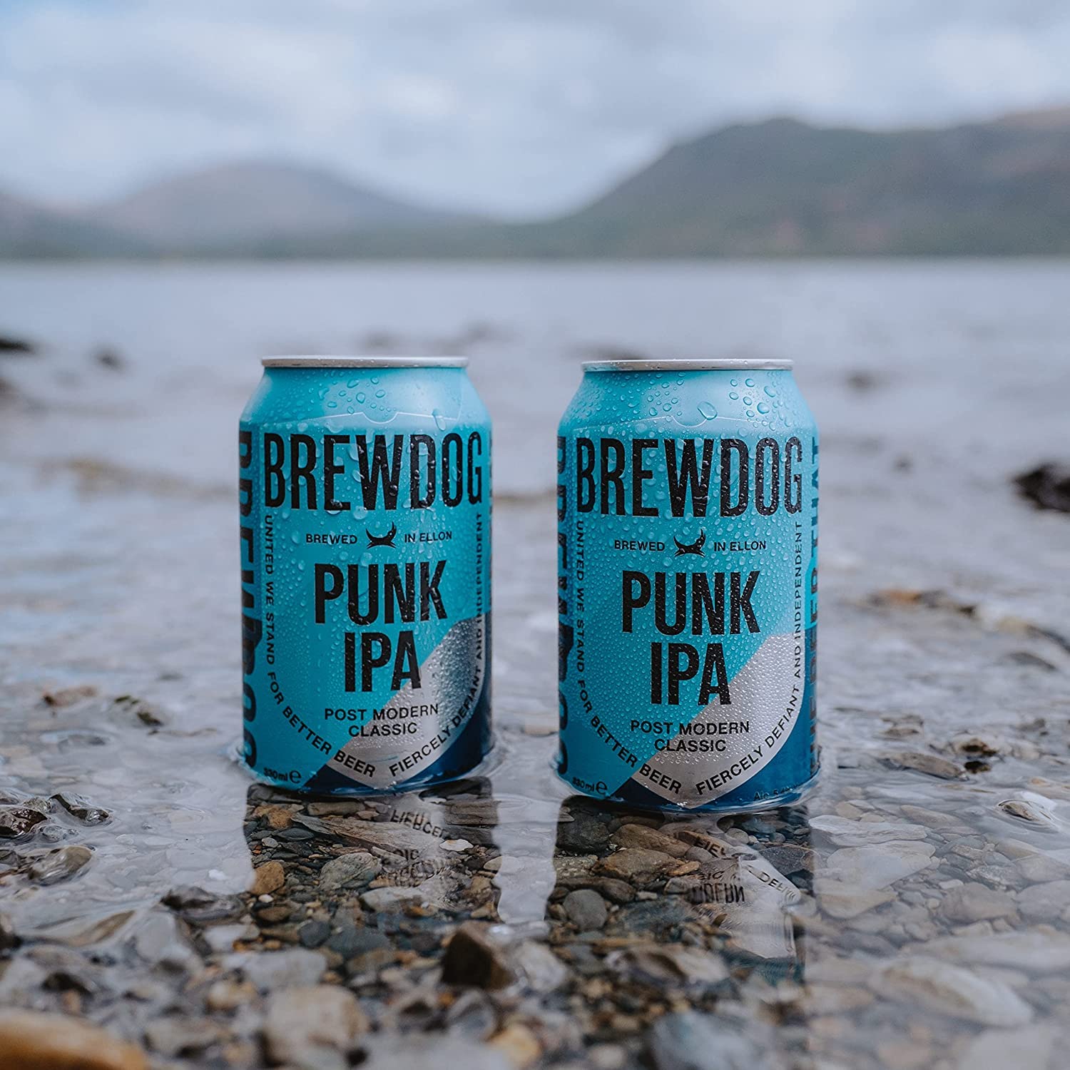 Amazon.co.jp: ブリュードッグ パンクIPA 330ml缶×12 クラフトビール