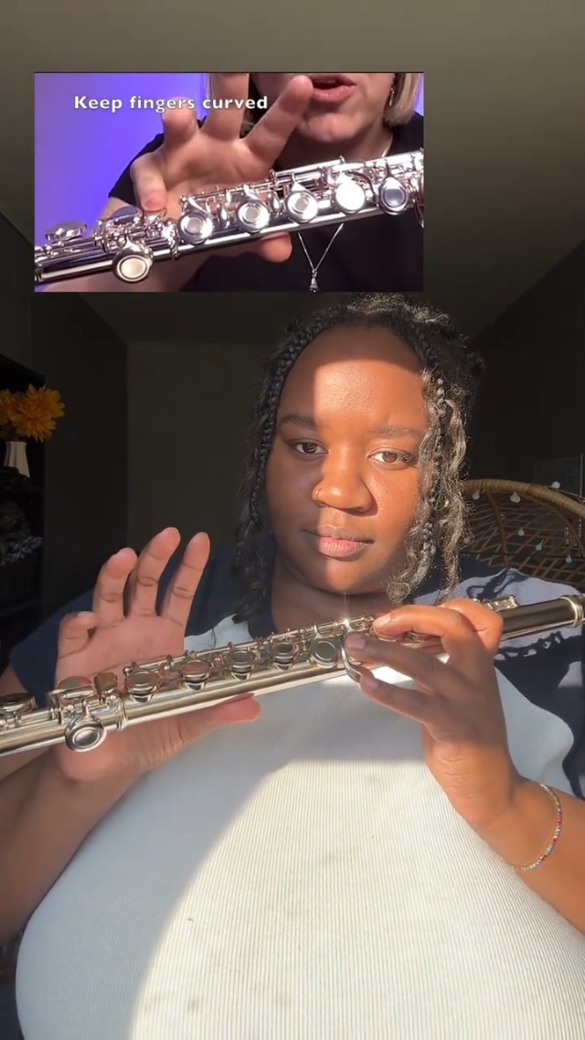 Amazon.com: POGOLAB Open Hole C Flute, 16 Keys Student Flute