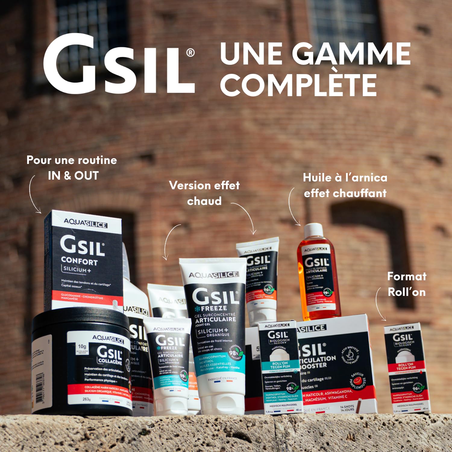 GSIL Freeze - Gel de Massage Effet Froid 200 ml - Soulage Tensions Musculaires & Articulaires, Coups & Chocs - Silicium Organique, Harpagophytum, Menthol & Huiles Essentielles - Fabriqué en France