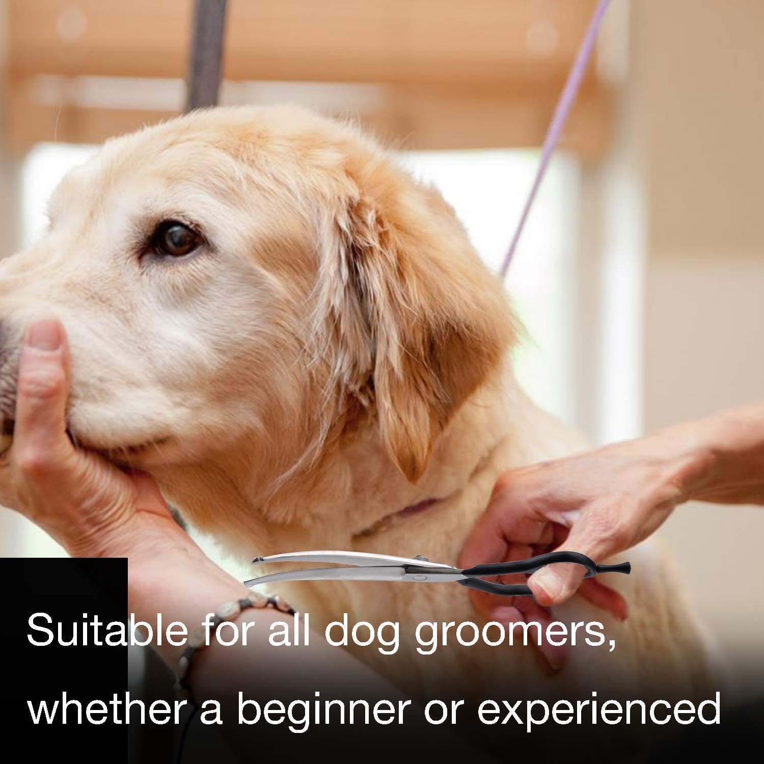 How Do You Clean Dog Grooming Scissors