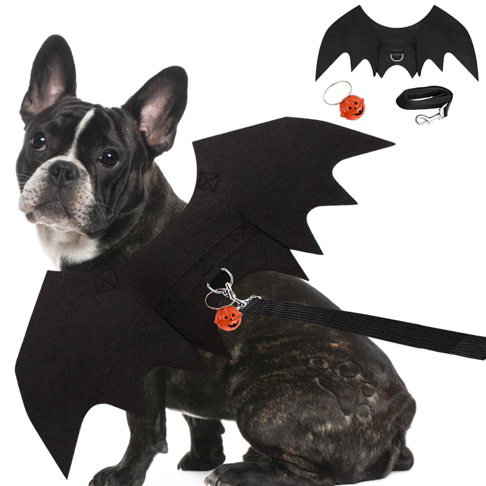 Disfraz Gato Halloween Tealots Disfraz De Halloween Para Perro, Alas De  Murciélago Para Mascotas, Ajustables, Divertidas, Alas De Murciélago, Traje  De Fiesta De Disfraces Para Perros Pequeños, Medianos Y Grandes (negro, XL, image size:1600x1600
