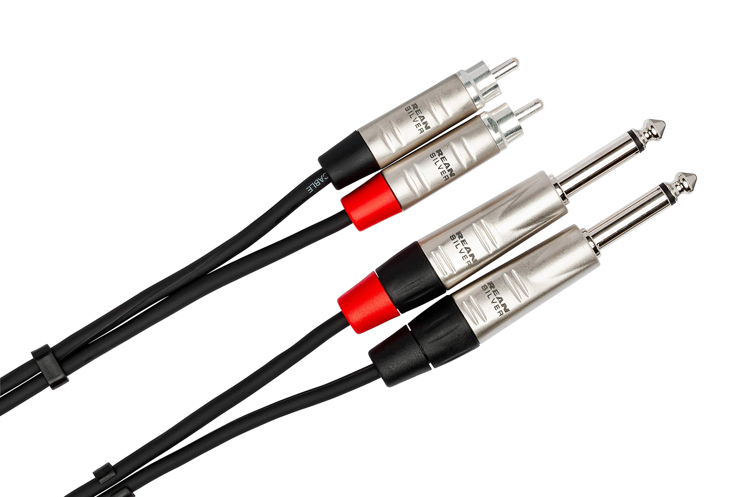 Hosa HPR-010X2, Pro Stereo Interconnect, Dual REAN 1/4 in TS to RCA, 10 ft