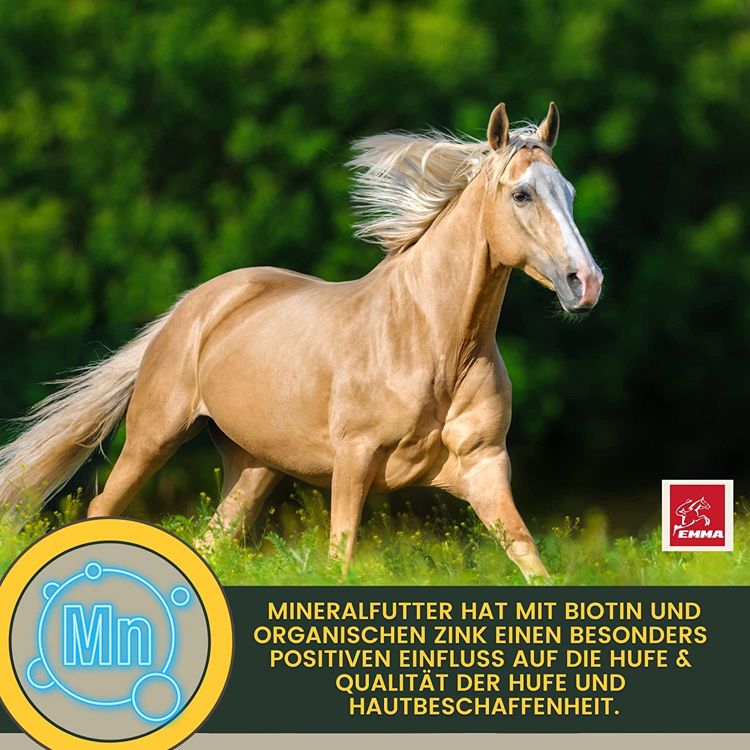 Mangime minerale + pasta vitaminica, vitamine e minerali per cavalli, per pelo e pelle con biotina selenio zinco vitamine B manganese magnesio vitamina A B12 C D E complesso pellet minerale 30ml 5kg
