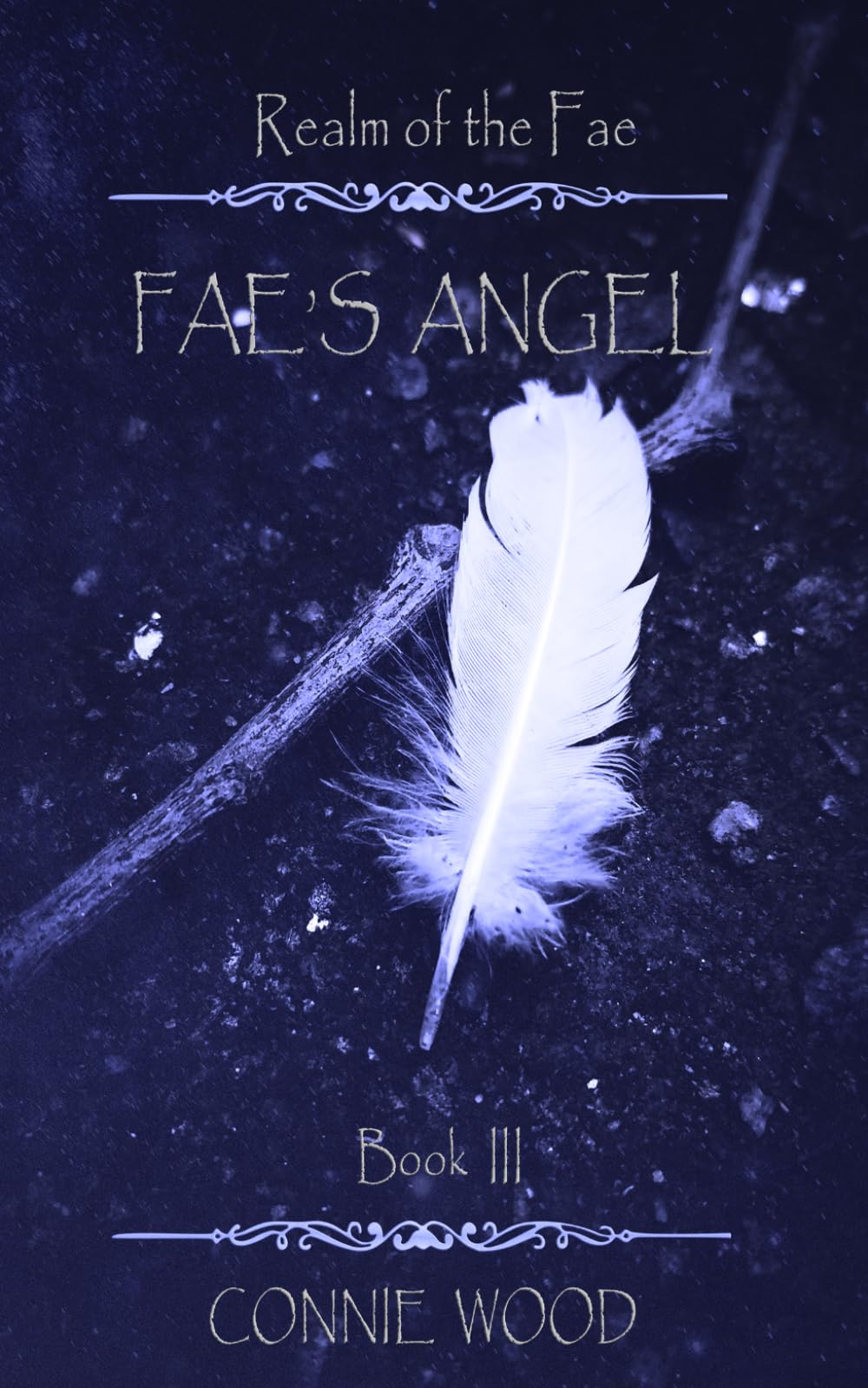 Fae's Angel (Realm of the Fae)