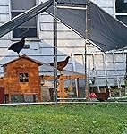 Review Image by pete