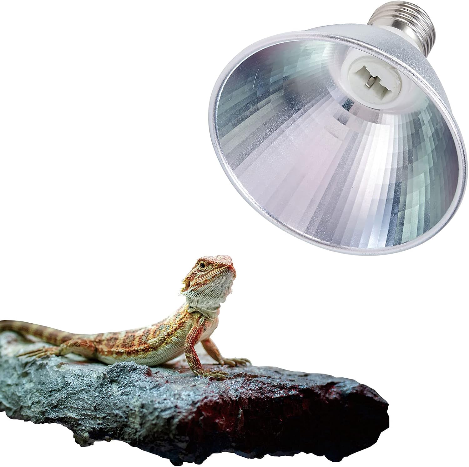ExoRepti Reptile Habitat Lighting, Terrarium Heat Lamp Halogen Mini Dome, 4 Inches