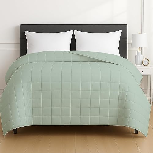 HomeSmart Products 50lbs Weighted Blanket Queen Size - Breathable, Hypoallergenic Soft Fabric, Extra Heavy Weighted Blanket Green Sage