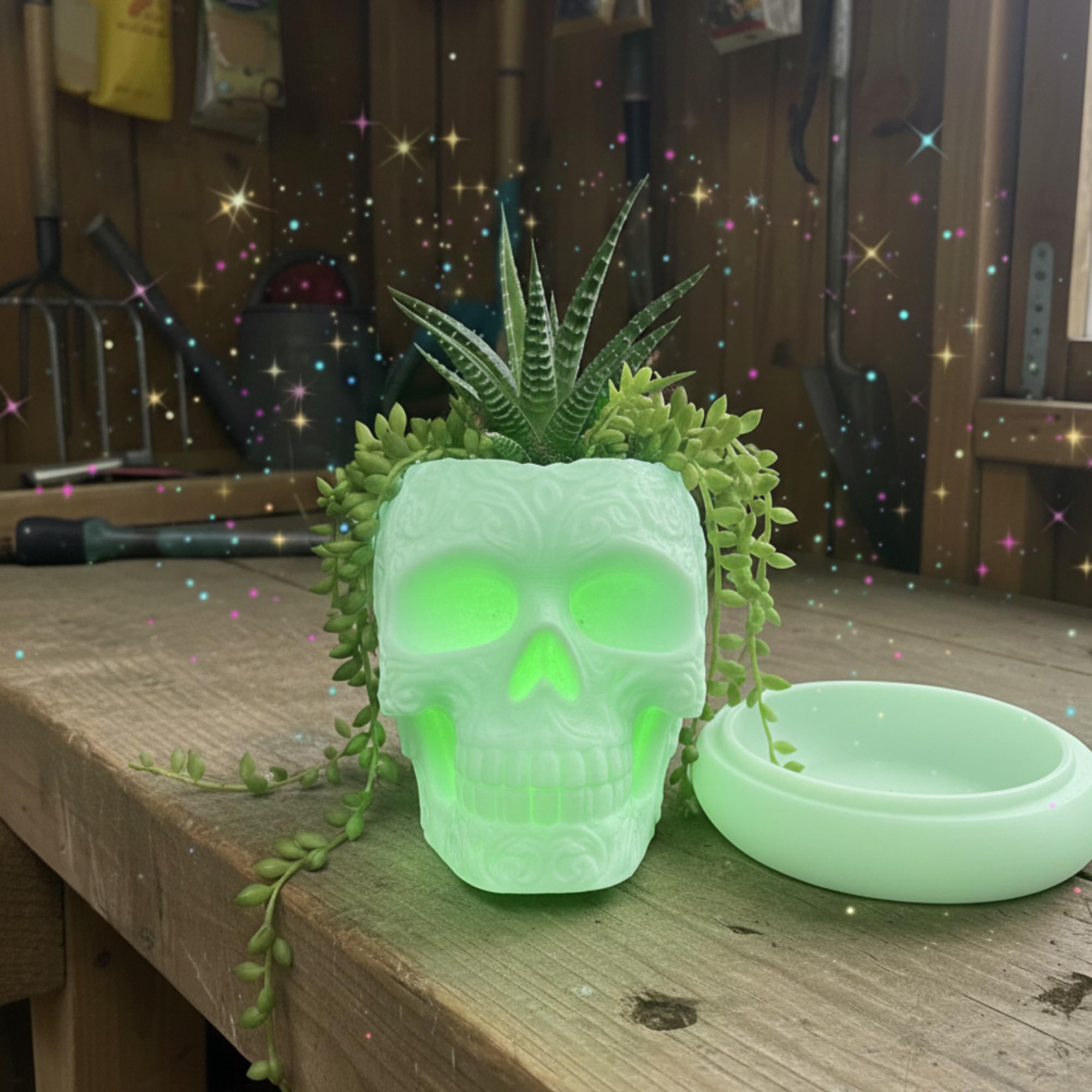 Glow in Dark Green – 3D Printed Decorative Head Pot for Succulents, Cacti & Houseplants – Colourful Gothic Home Décor Vase, Unique Halloween or Day of the Dead Gift (Glow on Dark Green)