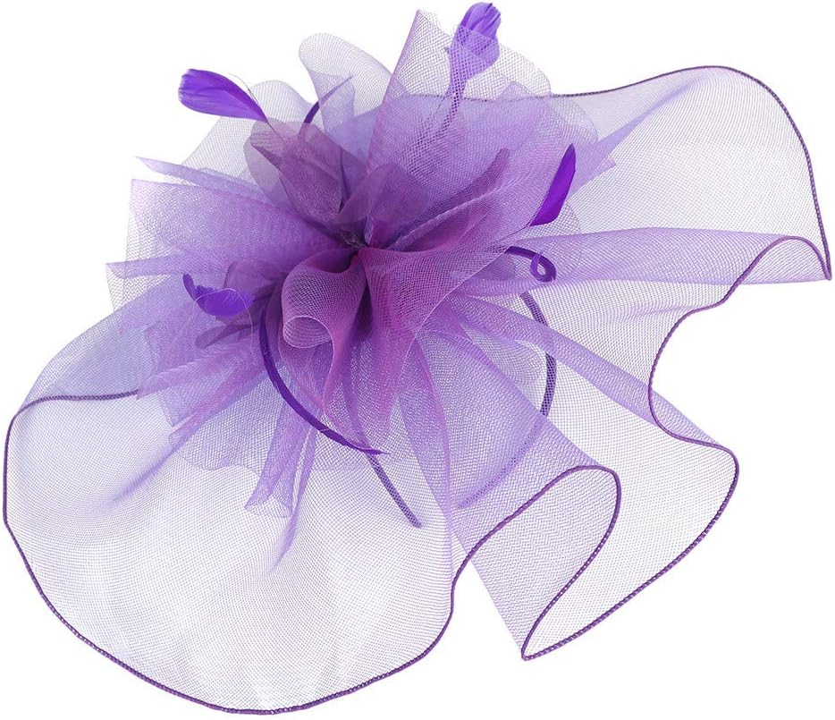 Lace Bridal Hair Accessories, Ladies Fascinators Pillbox Hat Fascinator Hat Flower Feather Mesh Tea(Purple)