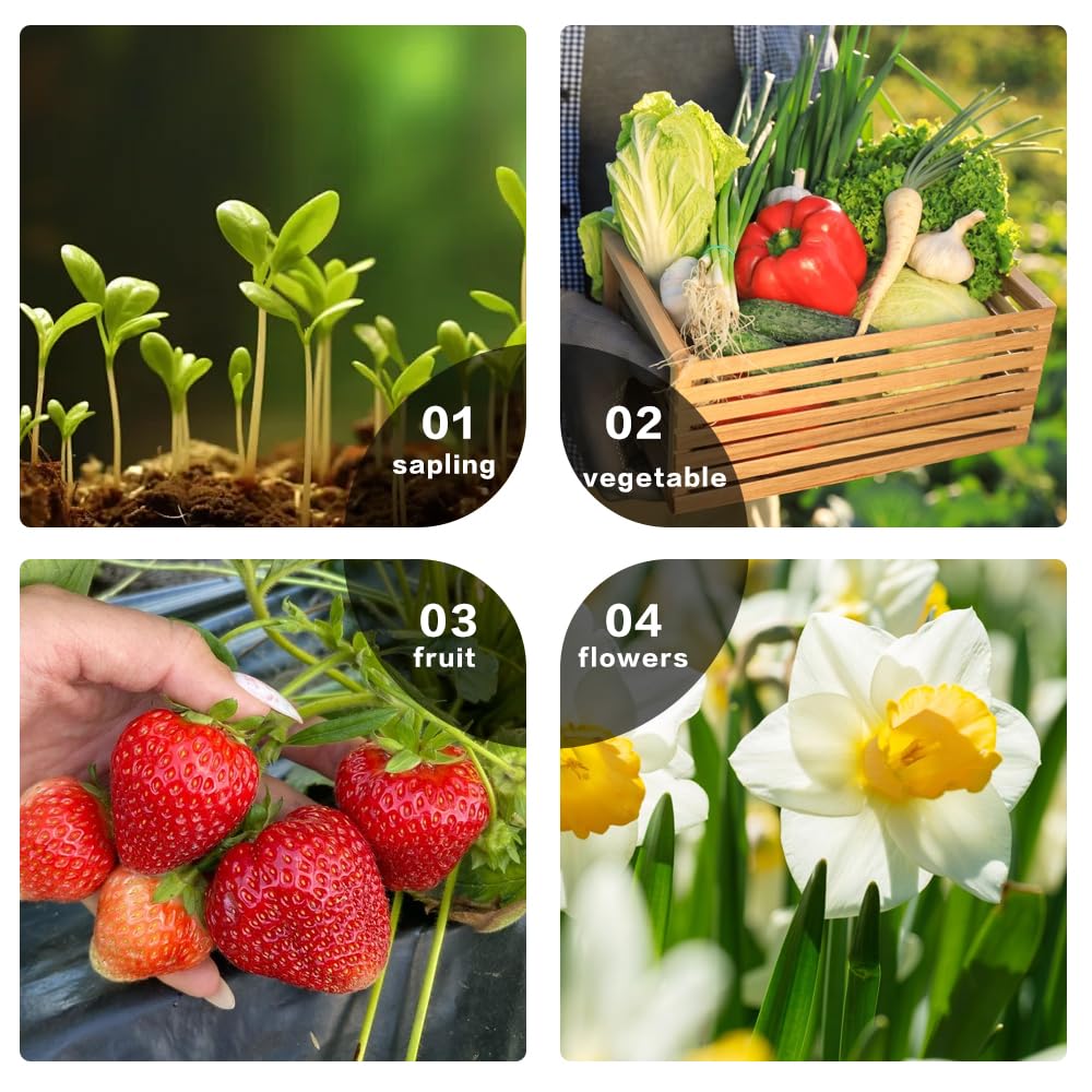 Tapis Chauffant Plante, 20 x 10 in Tapis Chauffant Semis avec Thermostat, 50W Imperméable Tapis Chauffant pour Plantes, Réglable en Temps Tapis Chauffant pour Semis, Animaux, Germination