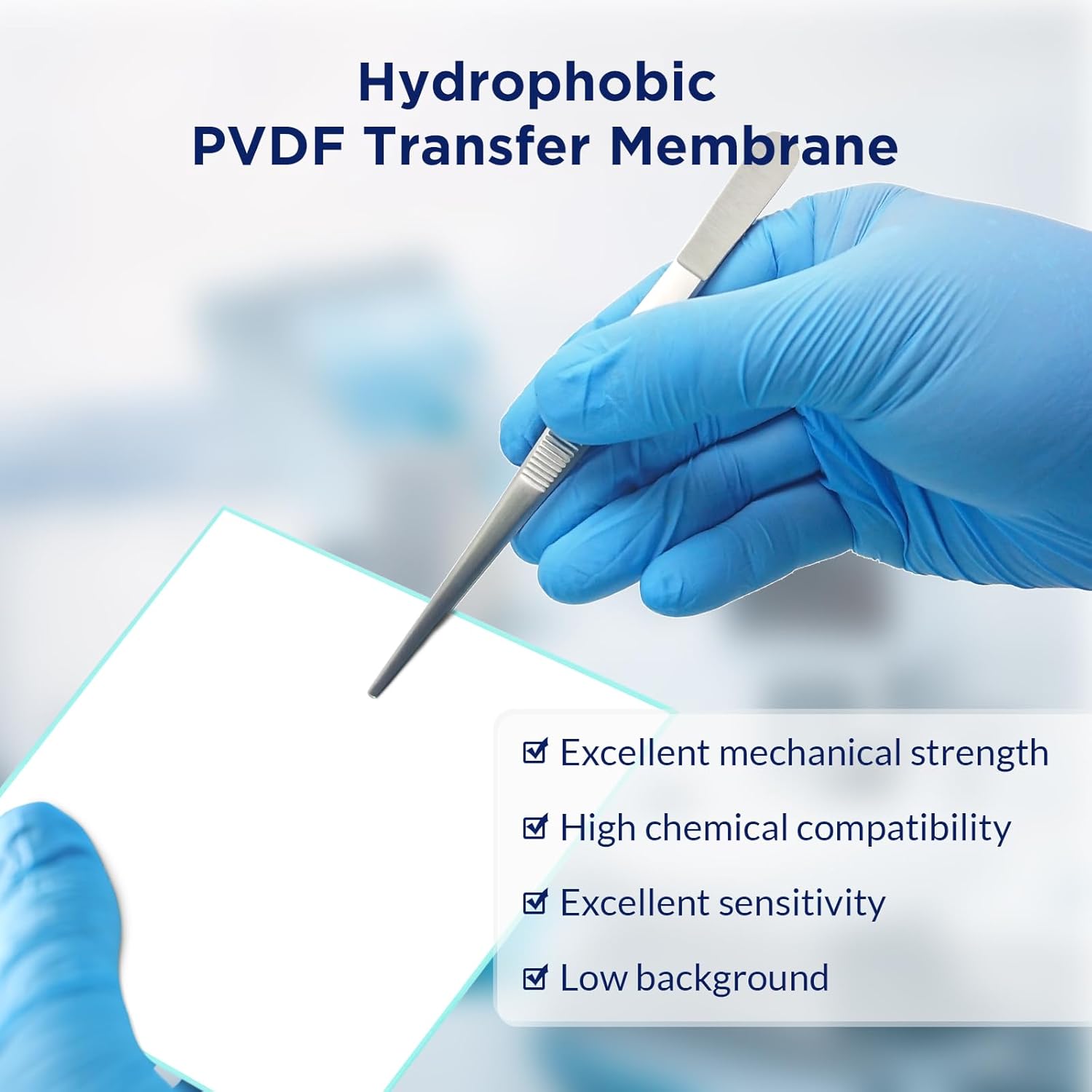Membrane Solutions PVDF Transfer Membrane Filter 0.22μm Blotting Membrane, 100mmX100mm(Pack of 25)