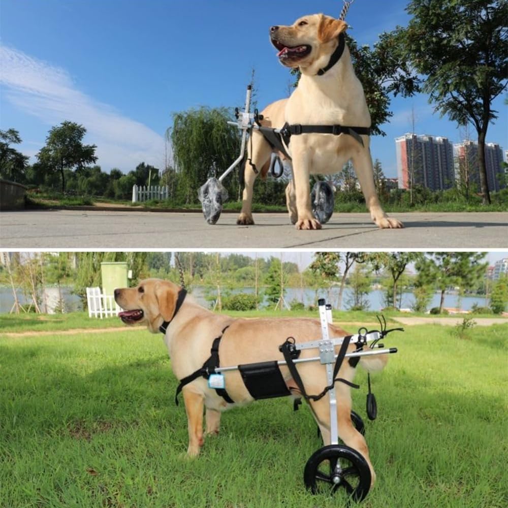 Amazon | 犬用車椅子 犬 車椅子 M L XL XXL XXXL 後肢リハビリ
