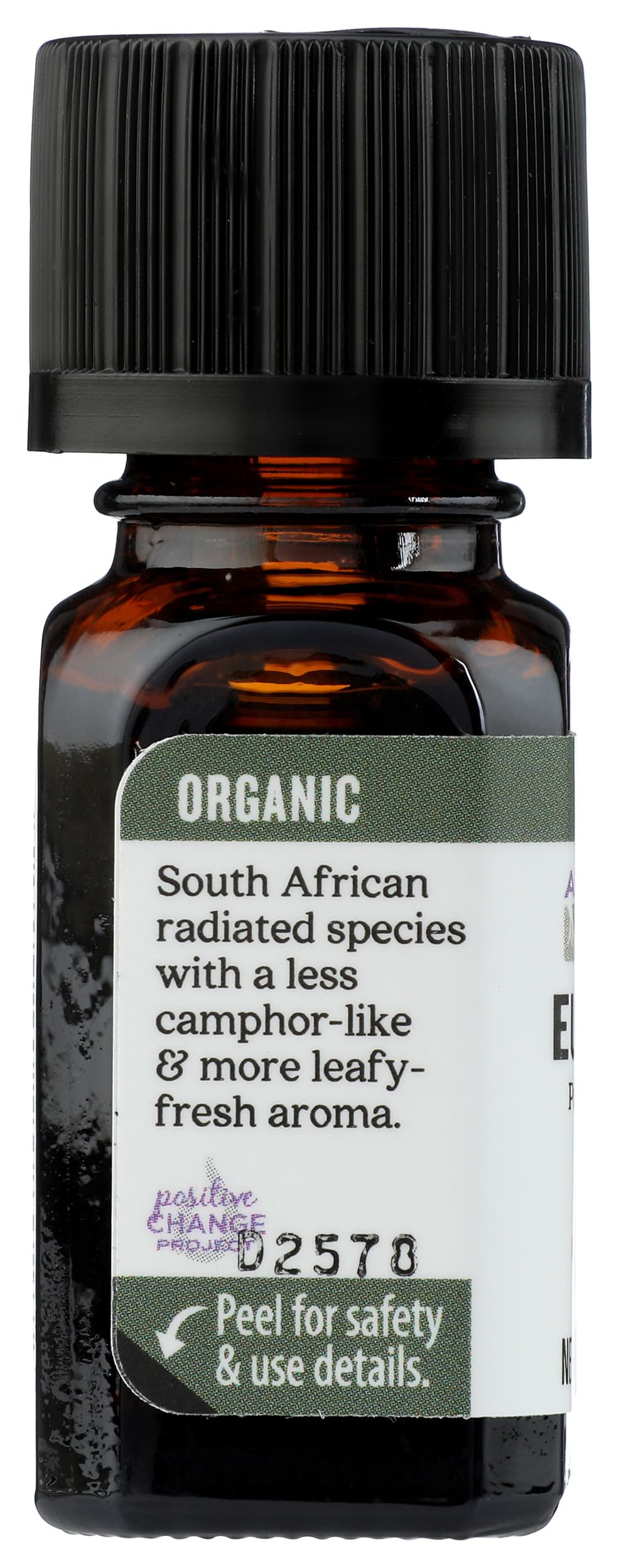 394580_6