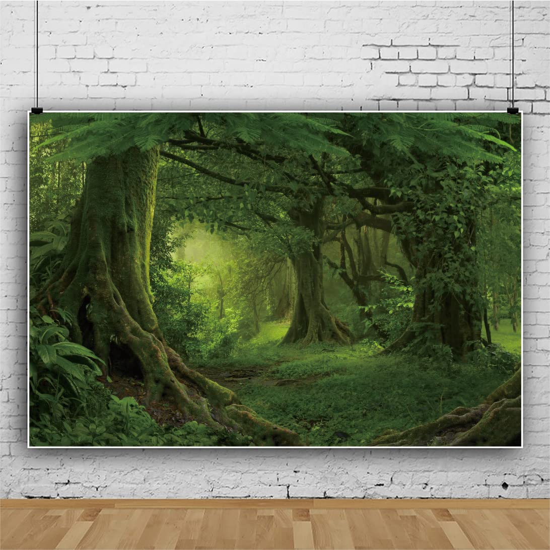 幻想的な森林の風景 Lサイズ アート写真 幻想的な森林の風景 Lサイズ アート写真 幻想的な森林の風景 Lサイズ