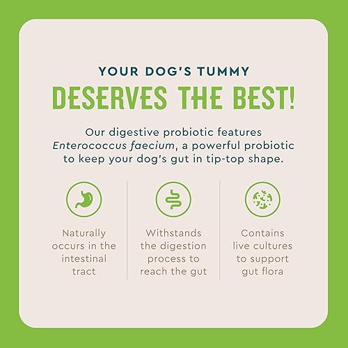 Miniatura 4 de VetIQ Polvo probiótico para perros, trata la diarrea, problemas digestivos, sensibilidad a los alimentos, sabor a pollo, paquetes de una sola